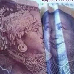 秋小圣