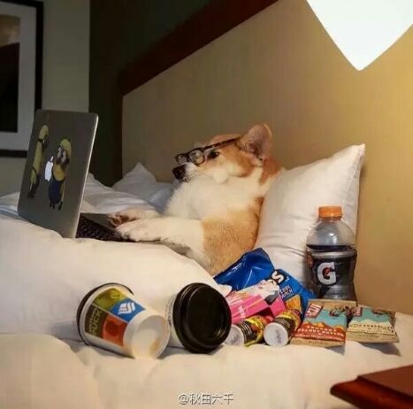 小健