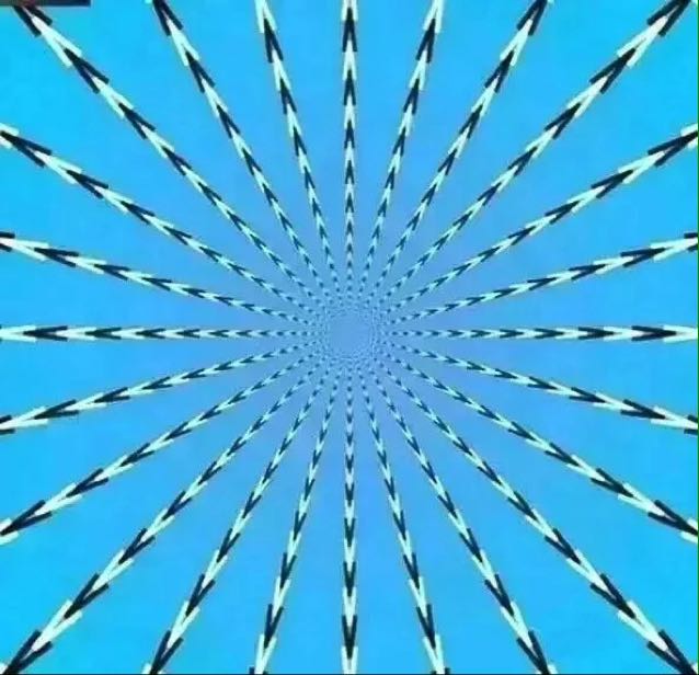 新手一枚