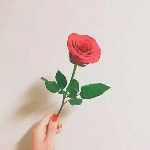 花圣℡