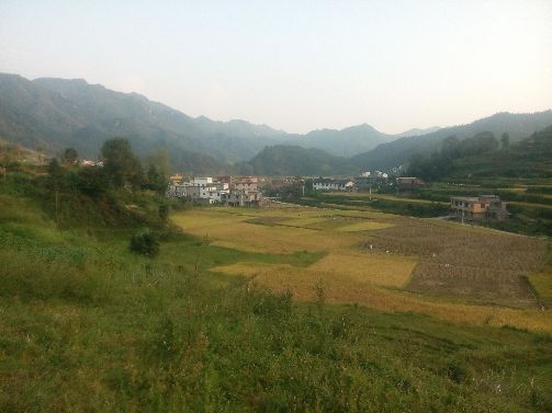 钻石小飞