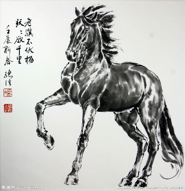 13797868011