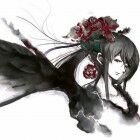 暗隐会丶刺客