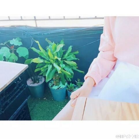 悦然指上✔