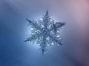 雪花飘零