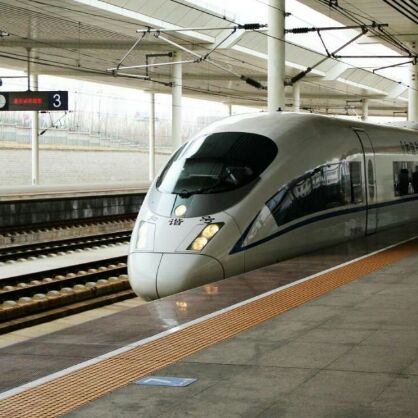 小熊2641