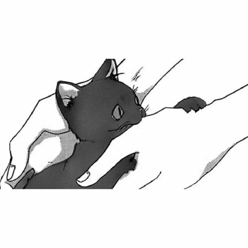 马老师请我吃大鸟