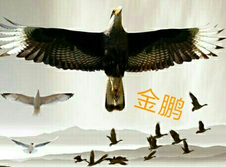 杀戮者