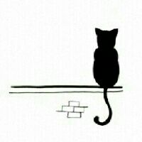 孤独的猫