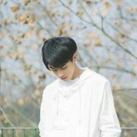 张小凡