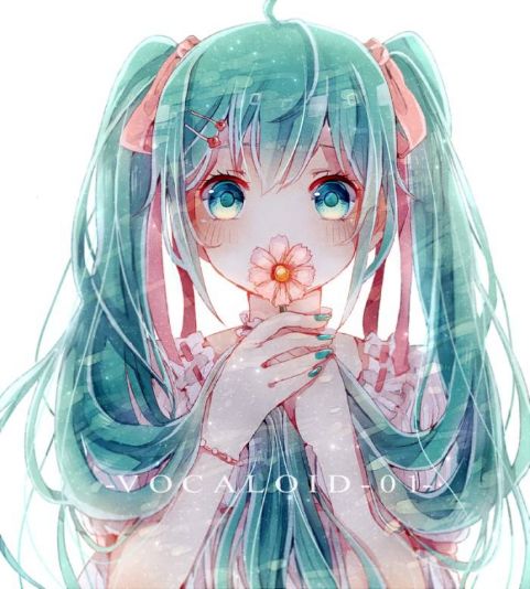 若叶233