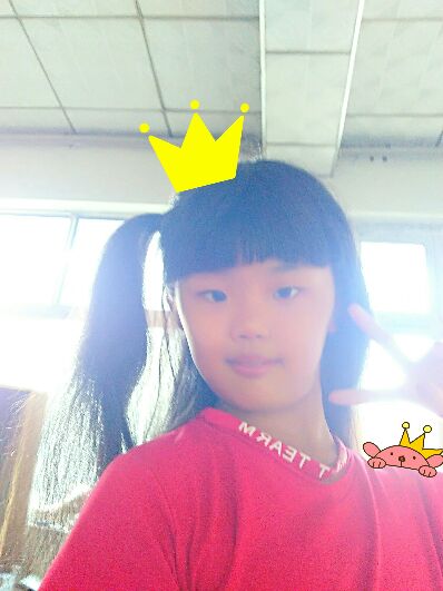 新城解说