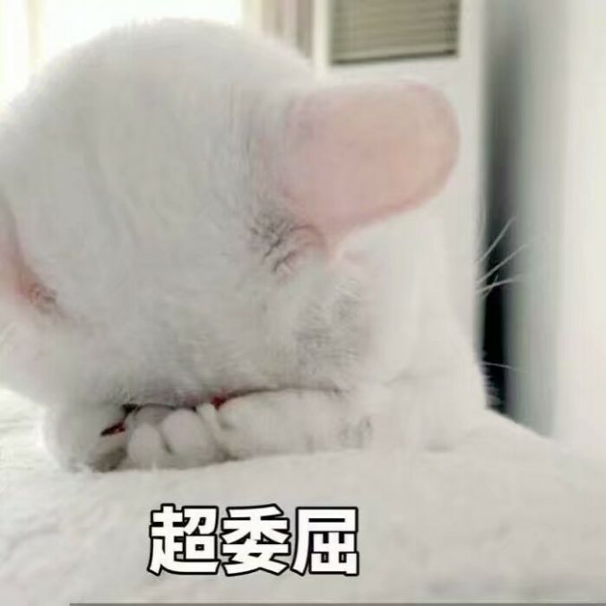 赖床