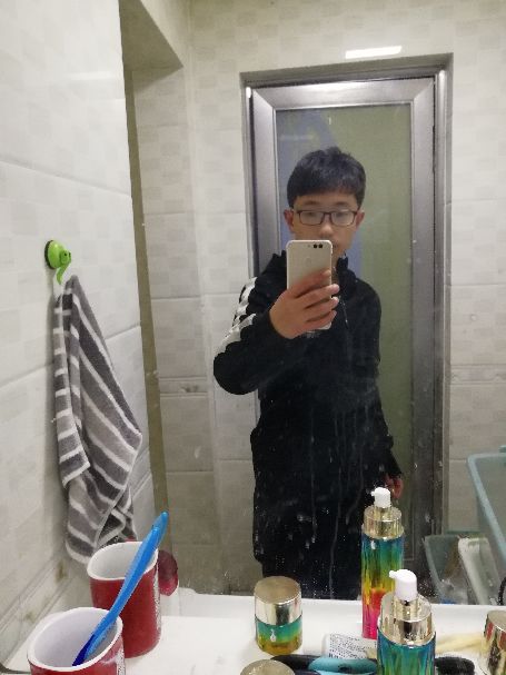 迪森F