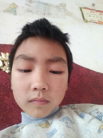 陈总