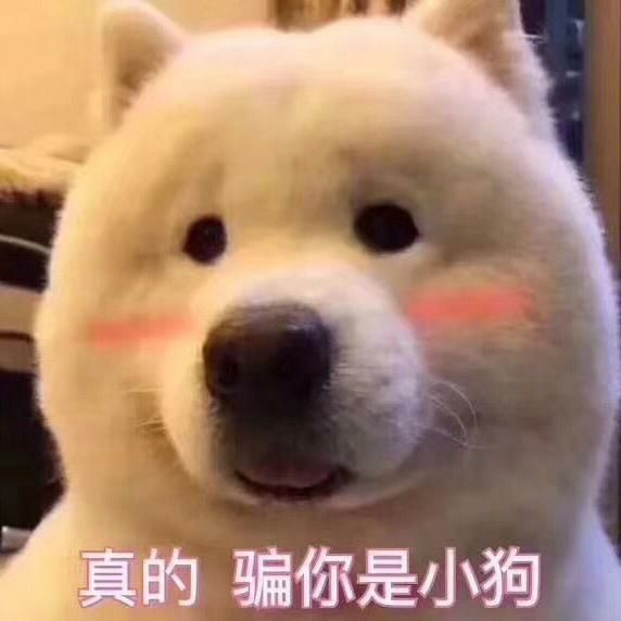 书上说你比较帅