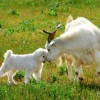 唯美的红尘